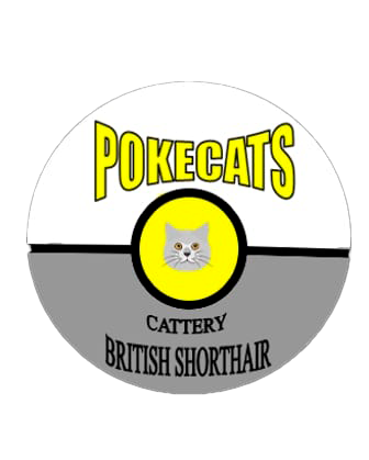 logopokecats